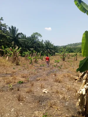 Farmland for Sale in Krachi Bontibor