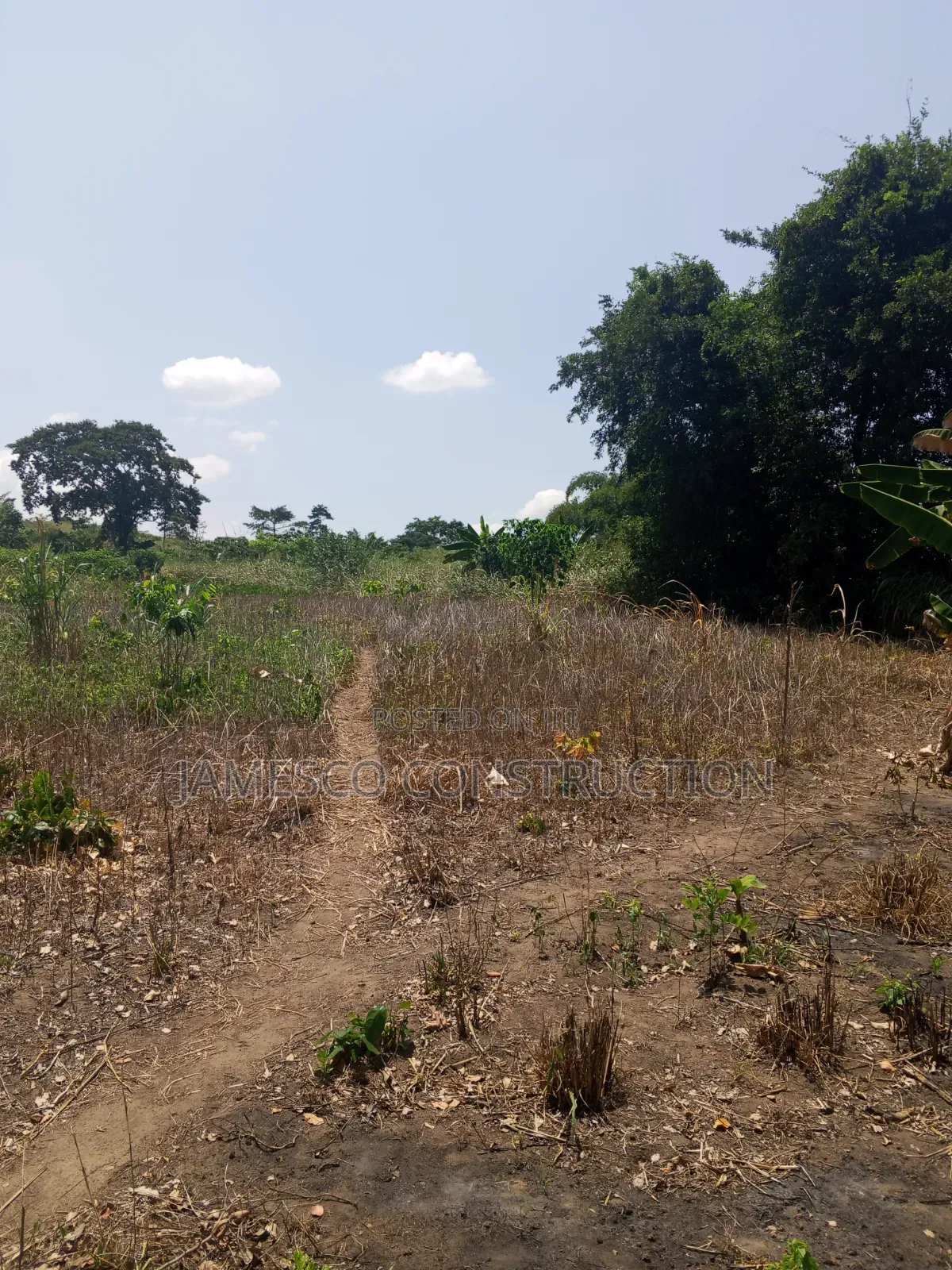 Farmland for Sale in Krachi Bontibor