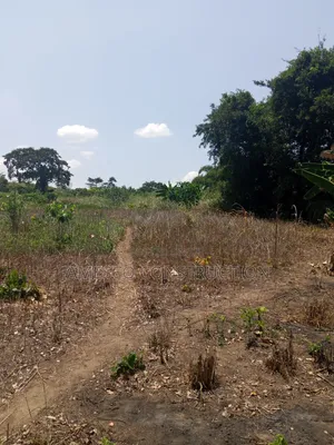 Farmland for Sale in Krachi Bontibor