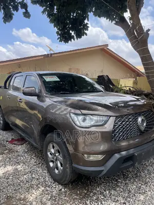 Great Wall Poer 2020 Brown