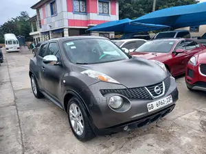 Nissan Juke SL 2013 Gray