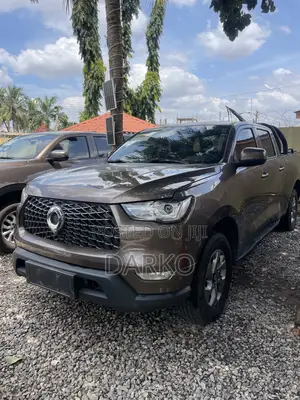Great Wall Poer 2020 Brown