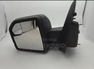 Ford F150 2017-2021 Side Mirror