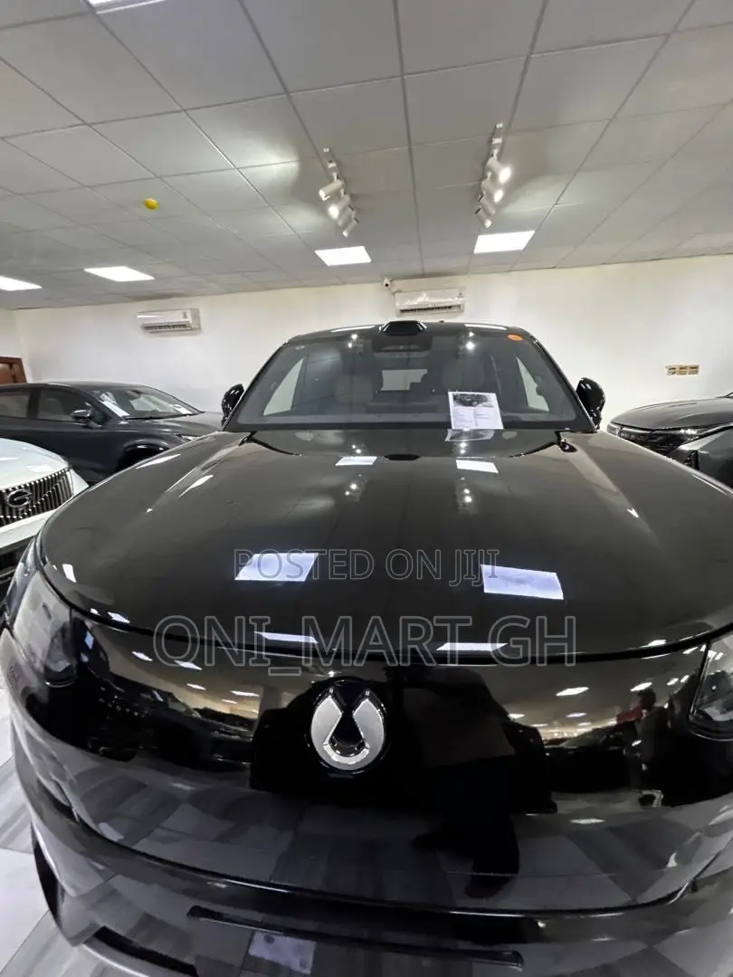 New Denza N9 2.0 Hybrid AWD 2025 Black