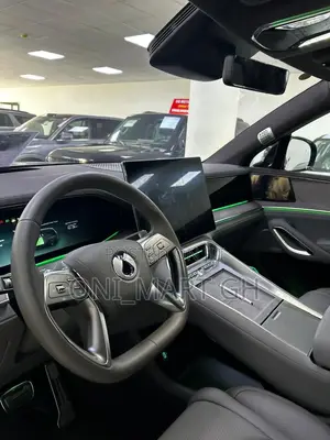 New Denza N9 2.0 Hybrid AWD 2025 Black
