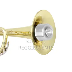 Trumpet Mute