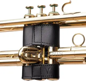 Trumpet Protective Valve Guide