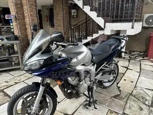 Yamaha FZ6 2009 Silver