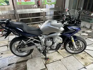 Yamaha FZ6 2009 Silver