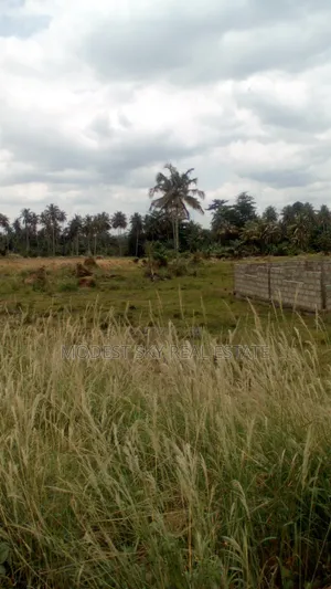 Plots of Land at Nsawam Anoff