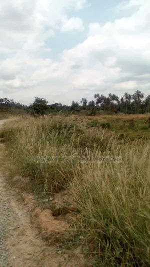 Plots of Land at Nsawam Anoff