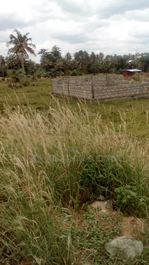 Plots of Land at Nsawam Anoff