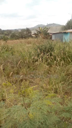 Plots of Land at Nsawam
