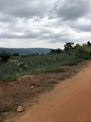 Registered Plot Land for Sell at Oburi
