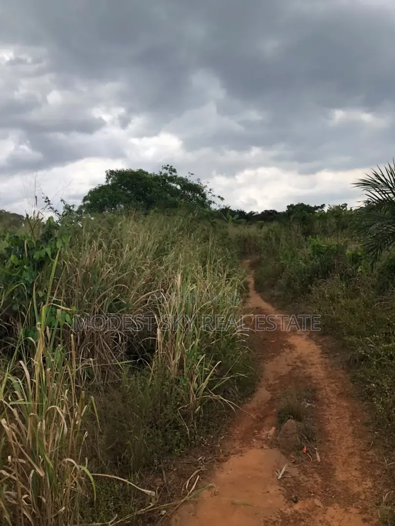 Registered Plot Land for Sell at Oburi
