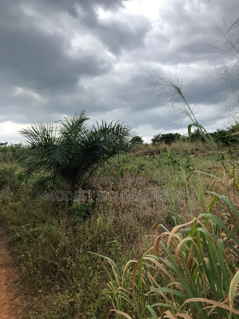 Registered Plot Land for Sell at Oburi