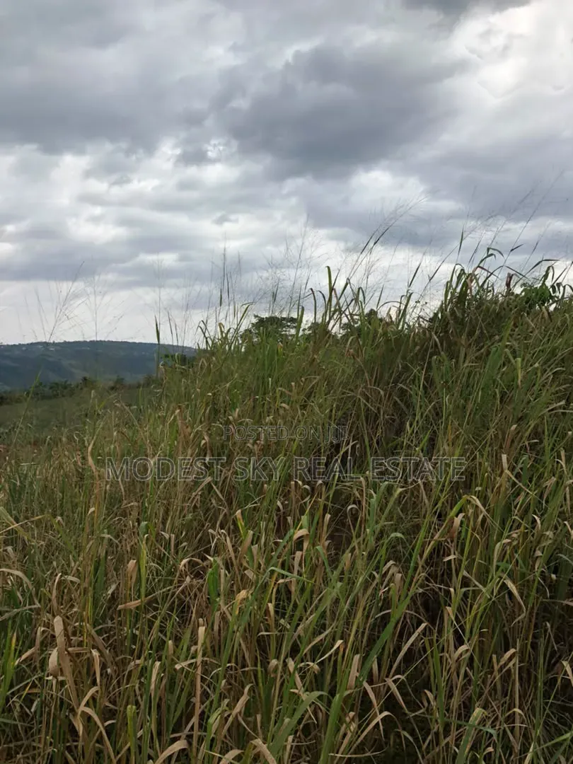 Registered Plot Land for Sell at Oburi