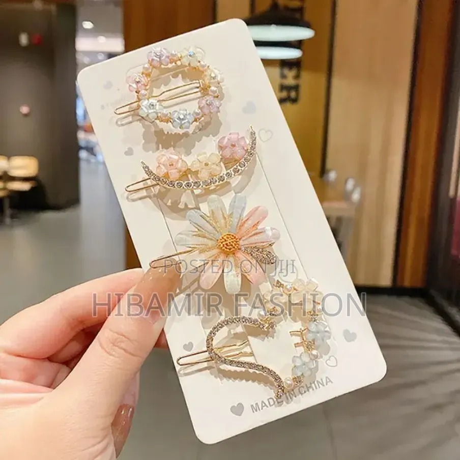 Hair Clips and Pin