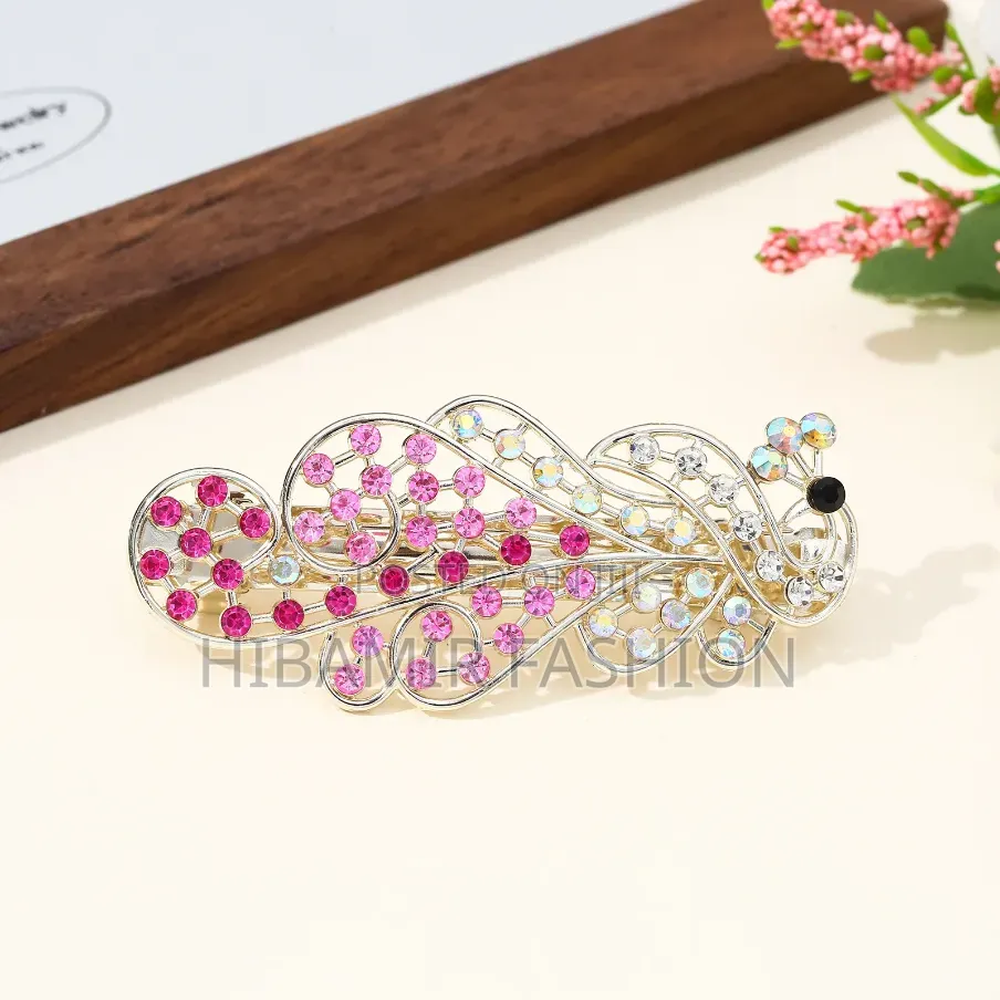 Hair Clips and Pin