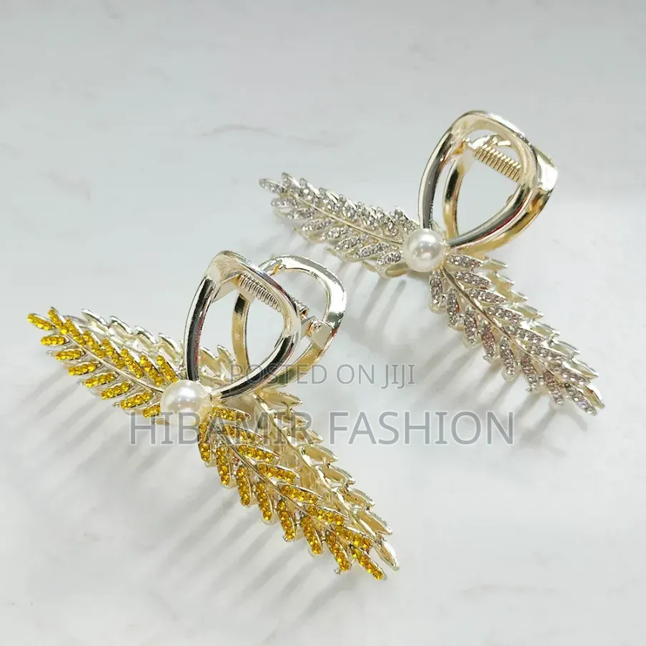 Hair Clips and Pin