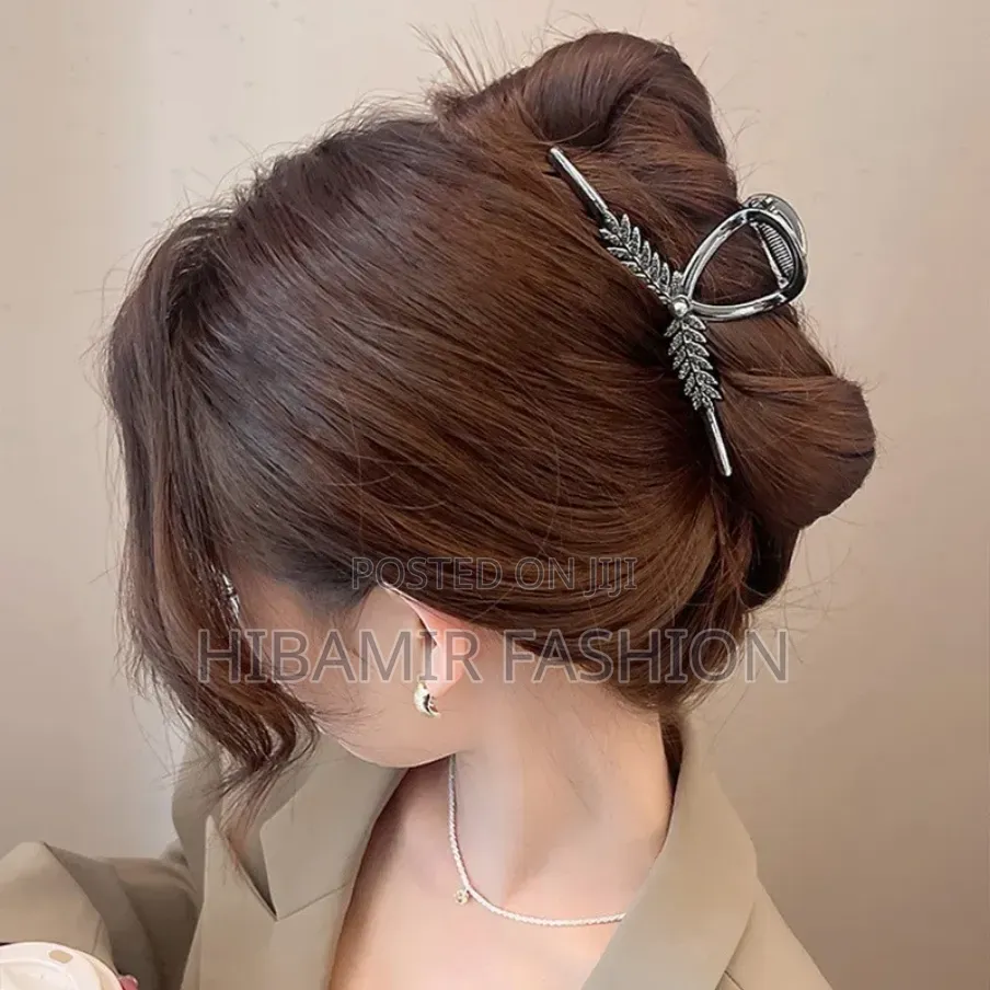 Hair Clips and Pin