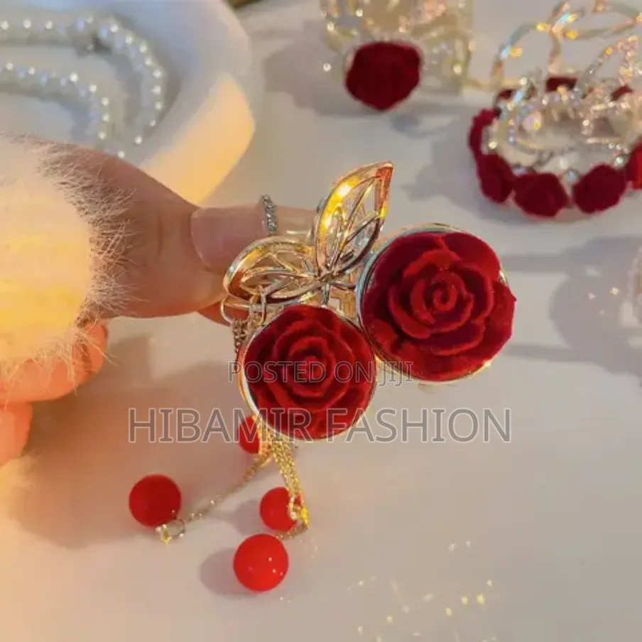 Hair Clips and Pin