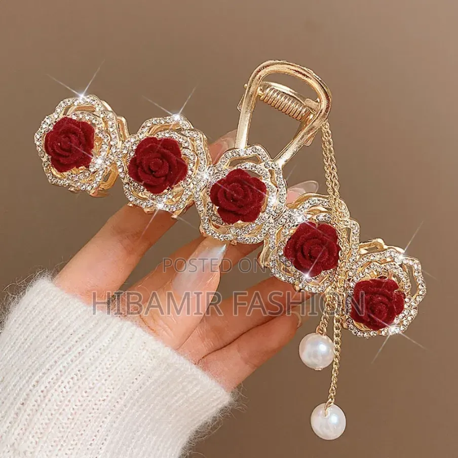 Hair Clips and Pin