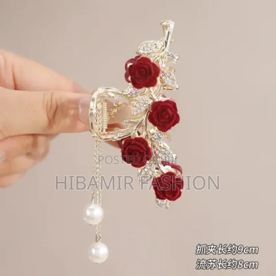 Hair Clips and Pin