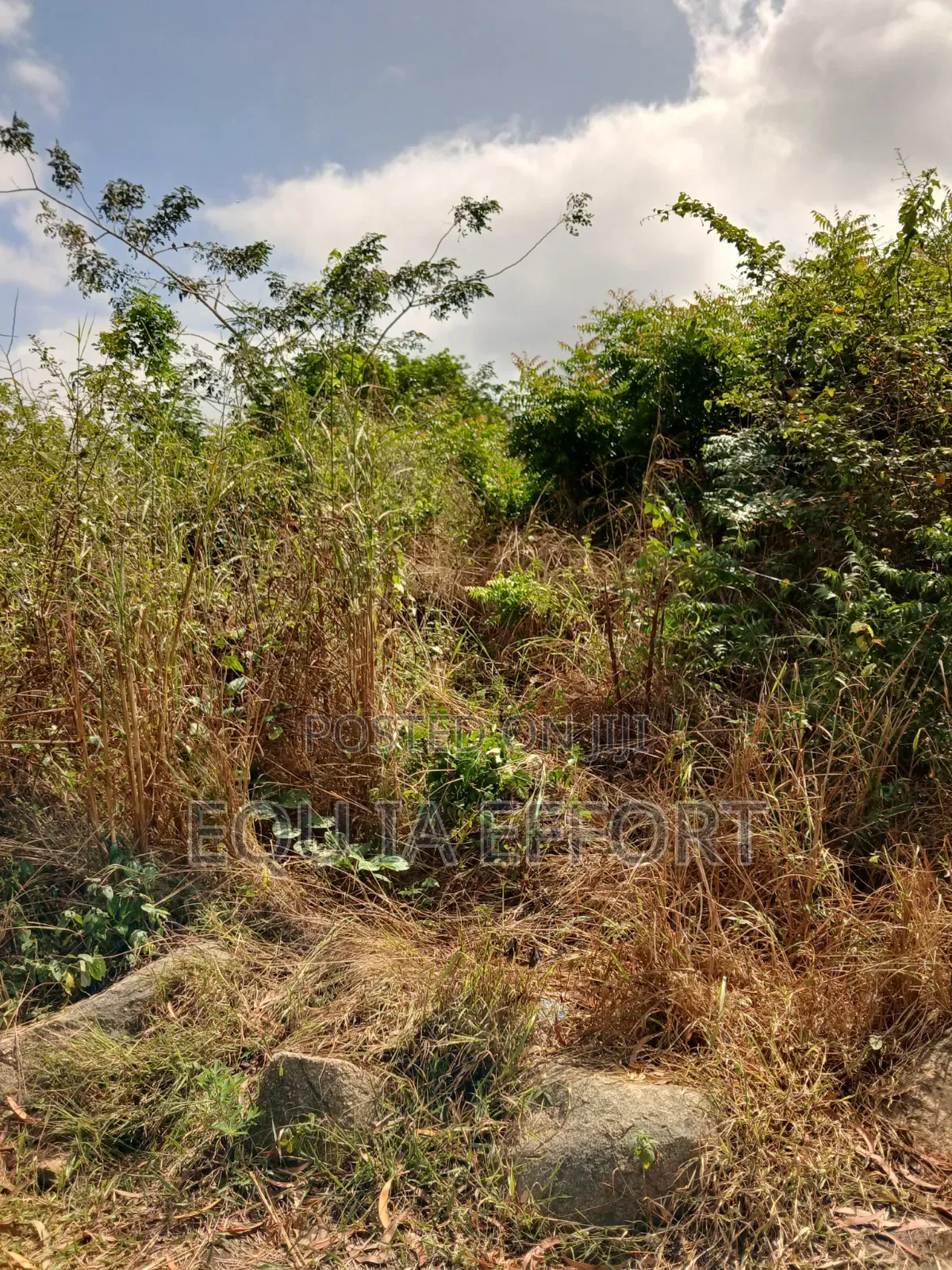 Residential and Farming Lands in Ho for Sale