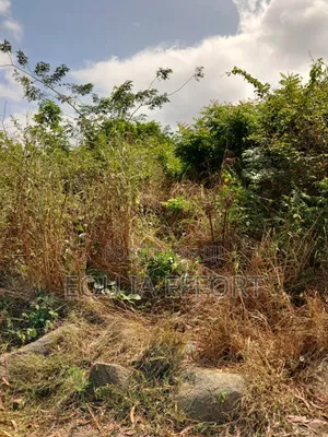 Residential and Farming Lands in Ho for Sale