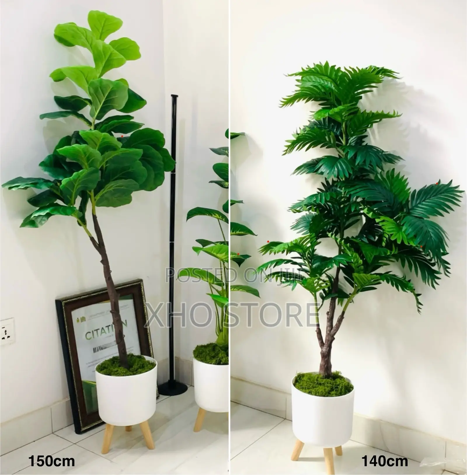 Artificial Plant Areca Palm, Dumb Cane, Fiddle Leaf, Potted Plants