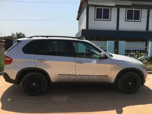 BMW X5 3.0si Activity 2008 Silver
