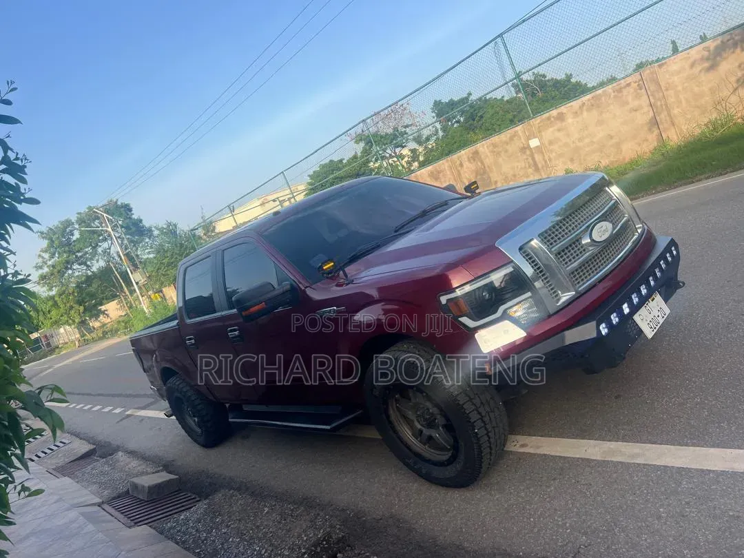 Ford F-150 FX4 2010 Burgundy