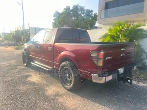 Ford F-150 FX4 2010 Burgundy