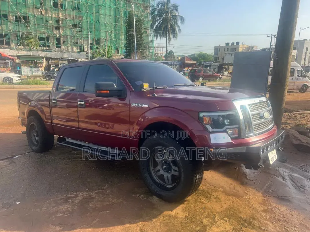 Ford F-150 FX4 2010 Burgundy