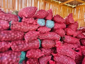 Fresh Onions