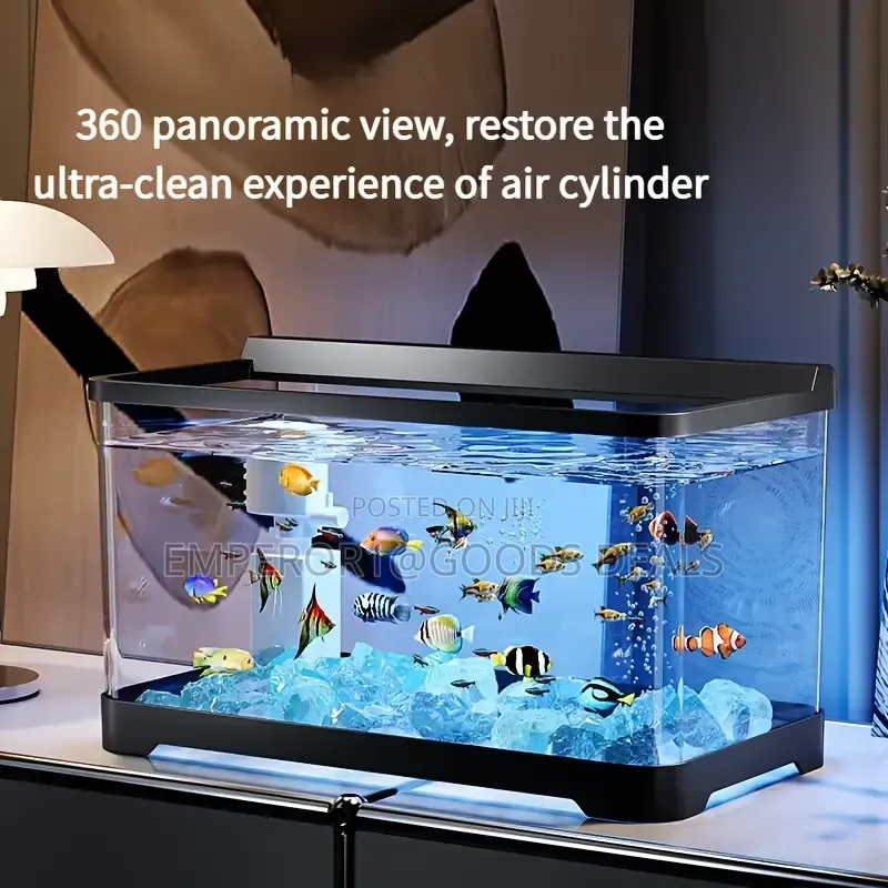 Aquarium With Fish