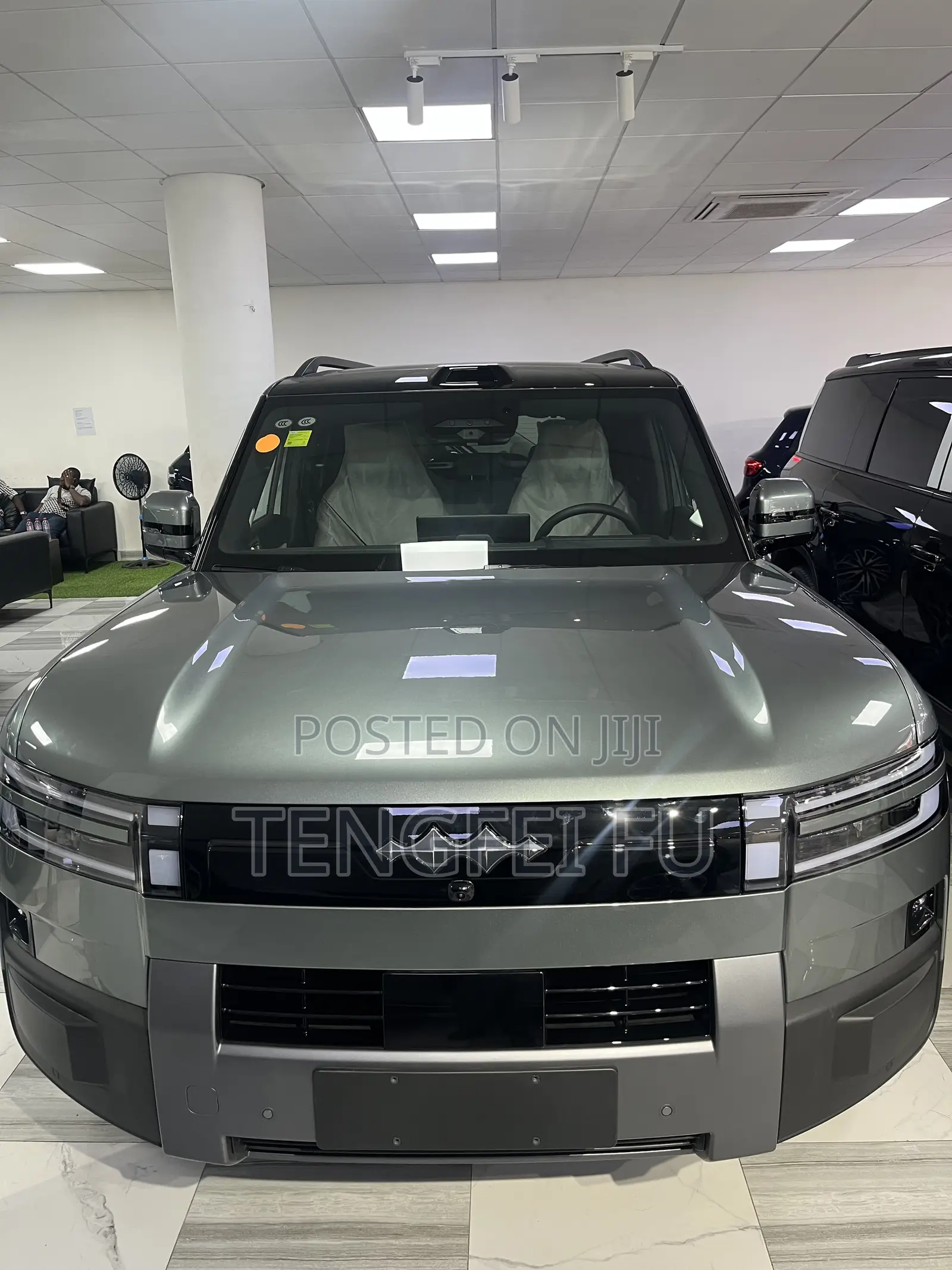 New BYD Leopard 7 2025 Green