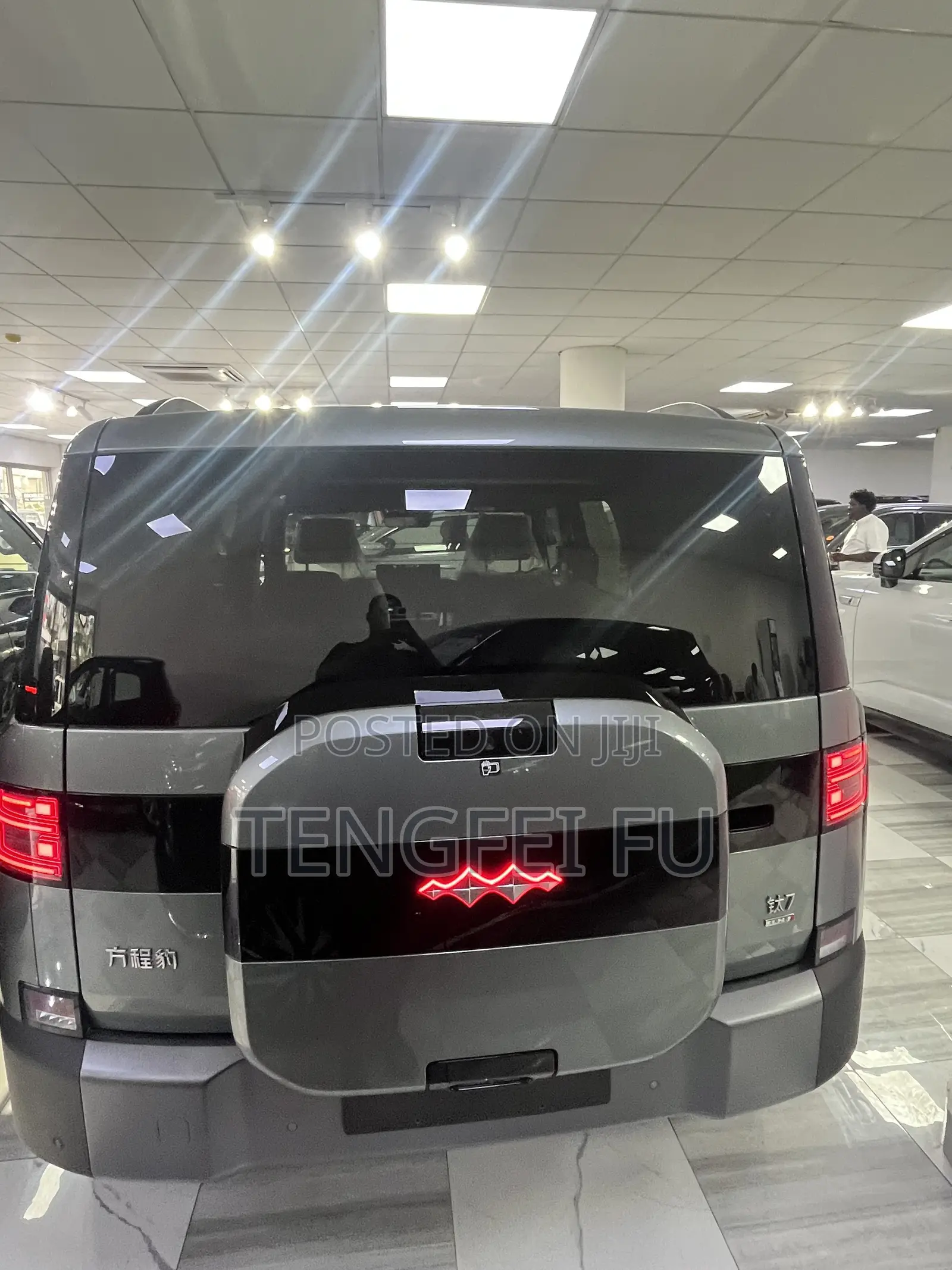 New BYD Leopard 7 2025 Green