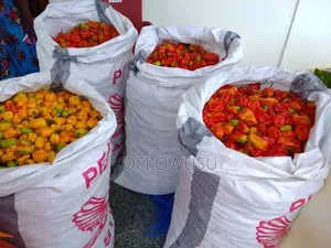 Fresh Habanero Pepper