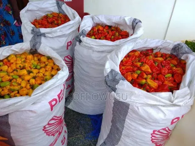 Fresh Habanero Pepper