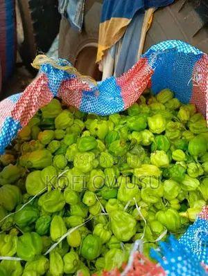 Fresh Habanero Pepper
