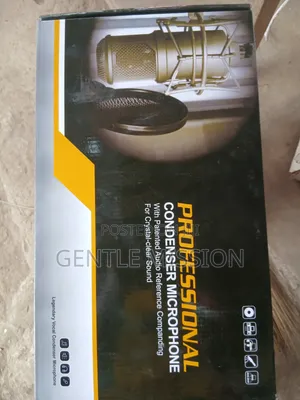 Audio Condenser Microphone