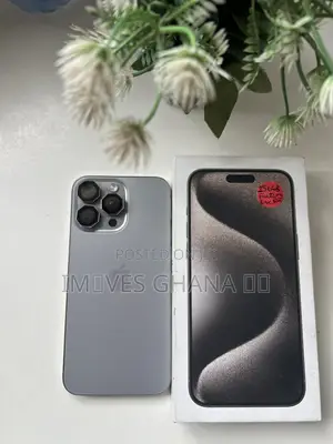 Apple iPhone 15 Pro Max 256 GB Silver