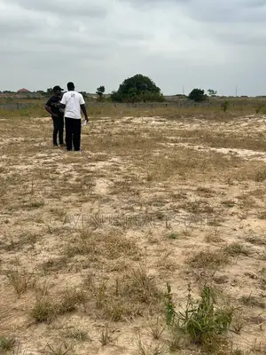 A Half Plot. A Full Dream.