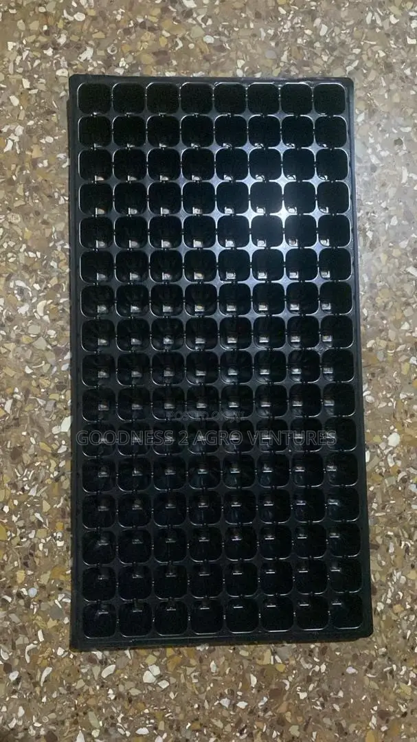 Seedtrays Nursery Tray