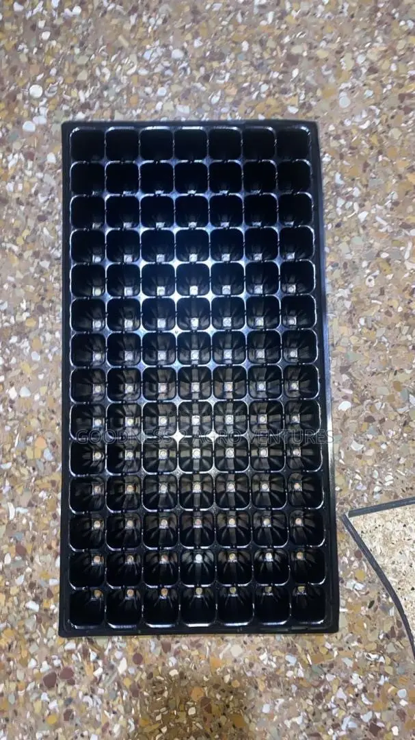 Seedtrays Nursery Tray