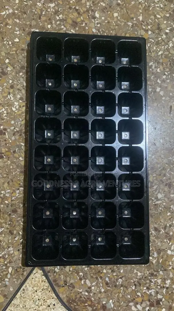 Seedtrays Nursery Tray