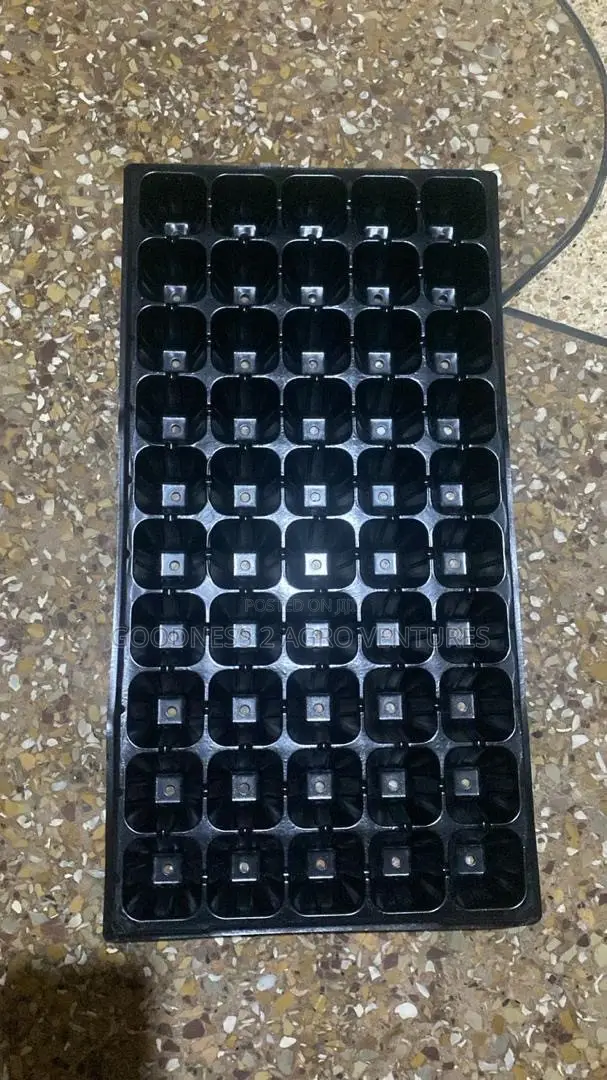 Seedtrays Nursery Tray