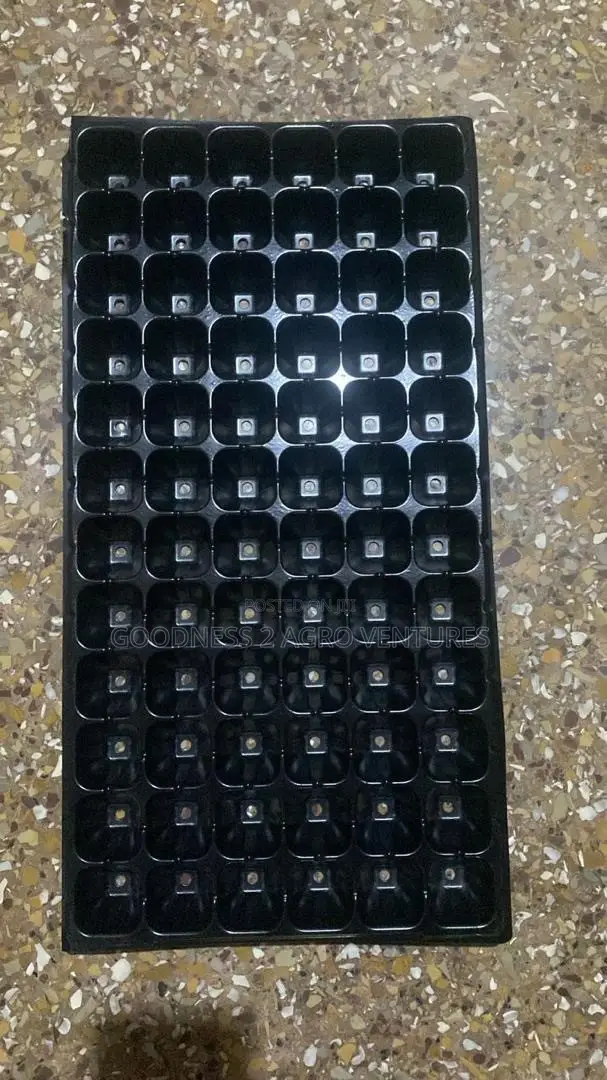 Seedtrays Nursery Tray